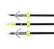 Bowfishing Arrow