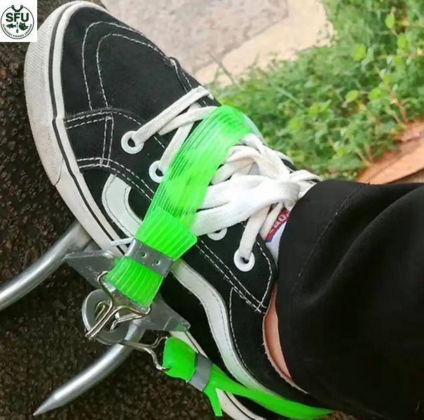 Tree climbing spikes