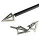 Arrow tip (broadhead 100 grain)